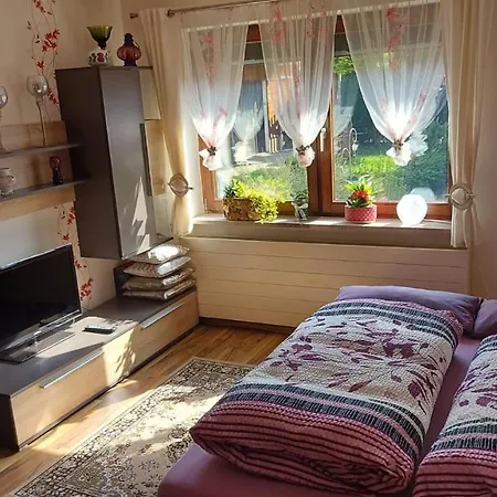 Appartement Mit Herz Zeulenroda-Triebes Esterno foto