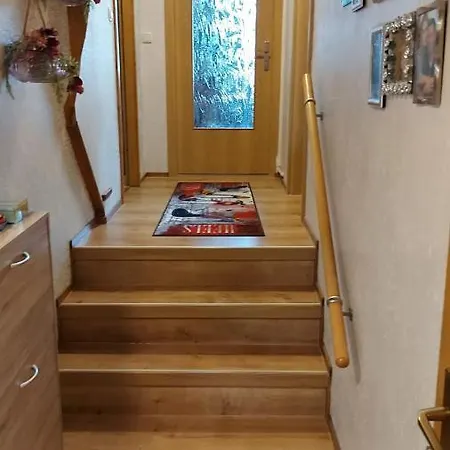 Appartement Mit Herz Zeulenroda-Triebes Esterno foto